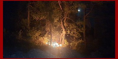 Adana'da 6 noktada çıkan orman yangını söndürüldü